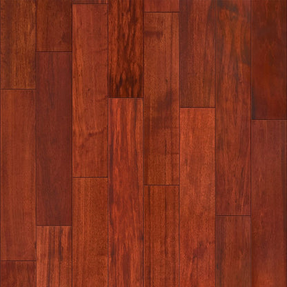 Exotics Collection - Sample 12"