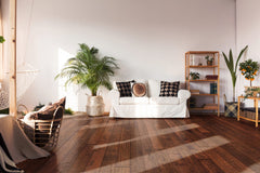 Competition Buster Collection