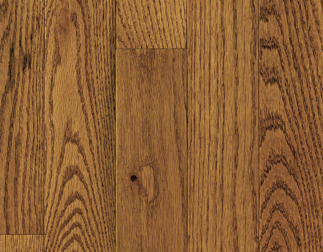 Oak Pointe 2.0 Low Gloss - Sample 12"