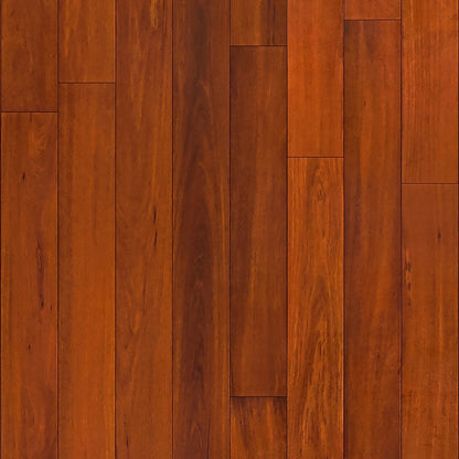 Exotics Collection - Sample 12"