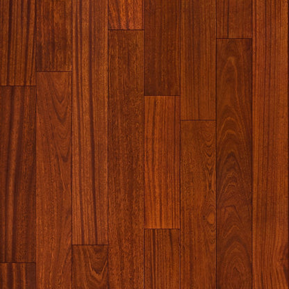 Exotics Collection - Sample 12"