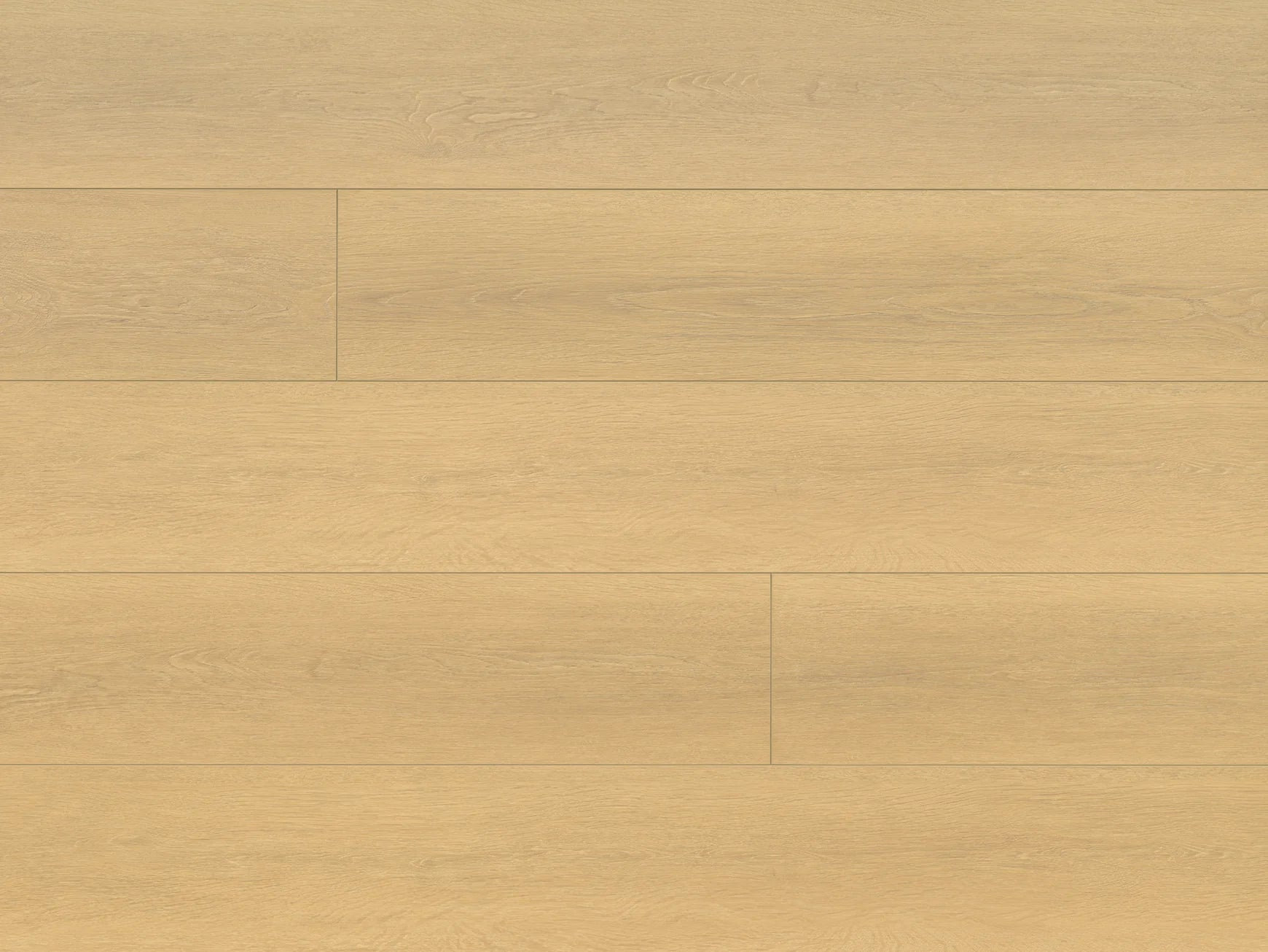 Seabrook / 12mm X 9 1/4