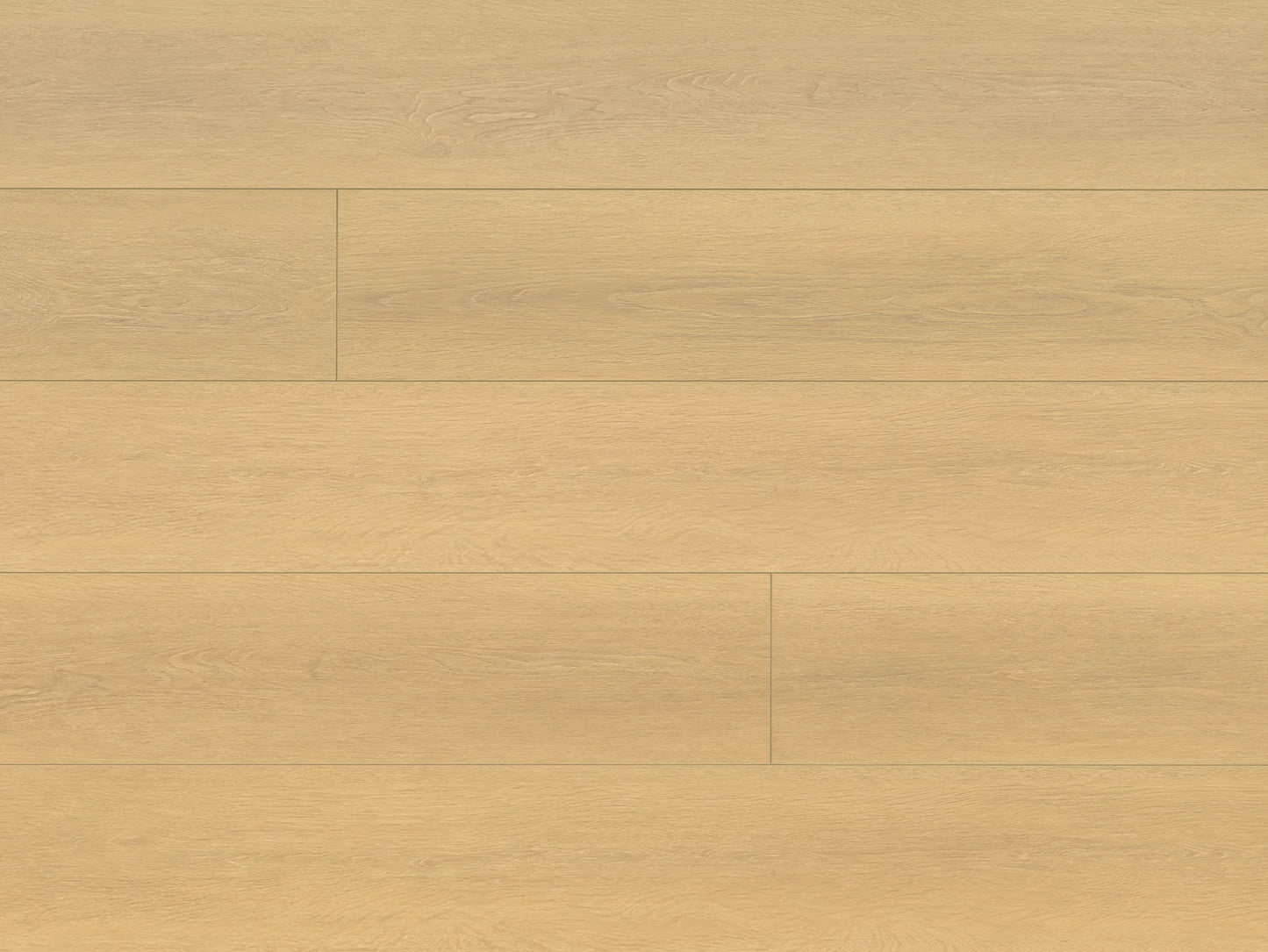 Seaside Collection - Sample 12"