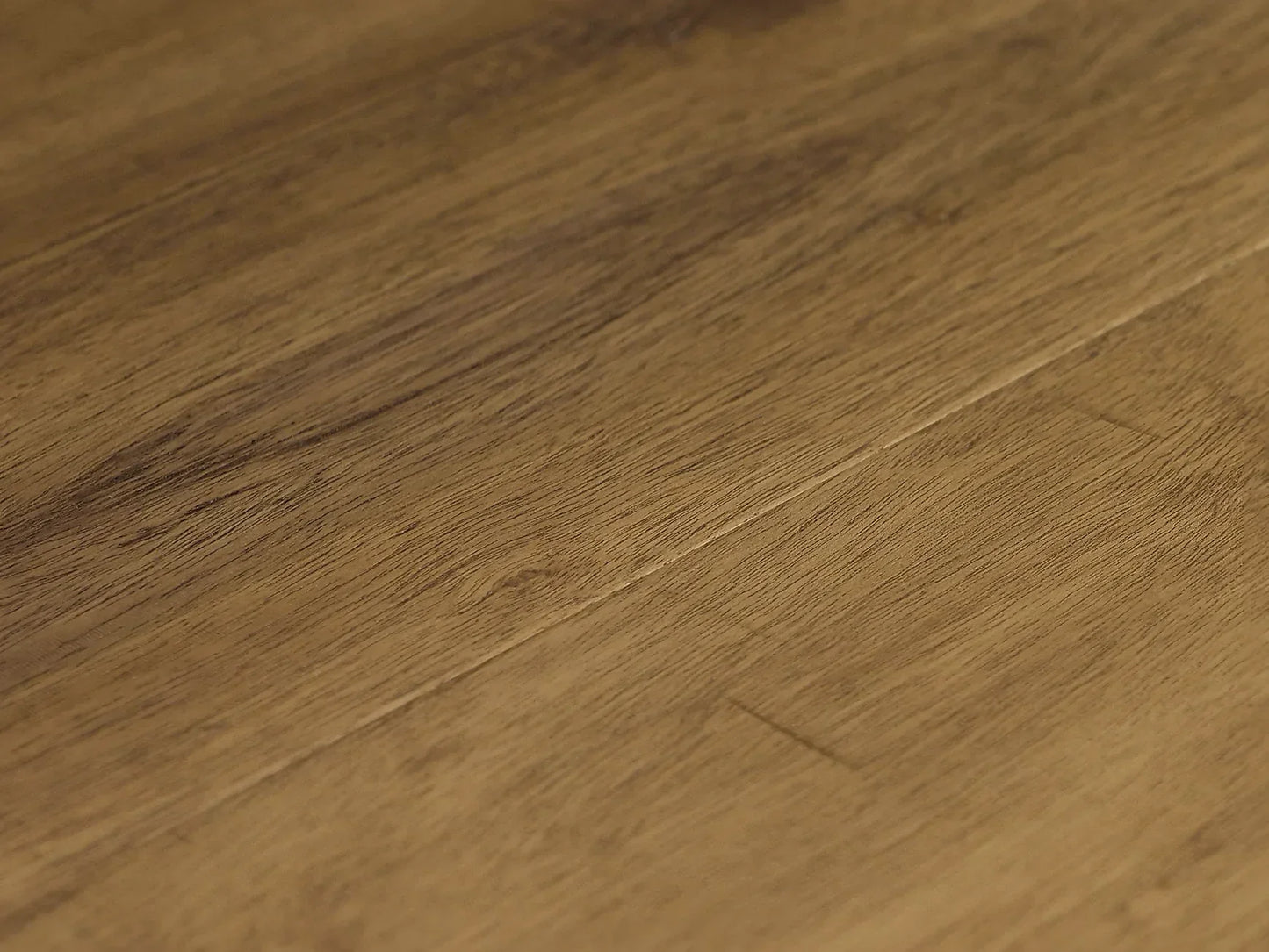 Castillo Collection - Sample 12"