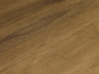 Castillo Collection - Sample 12"