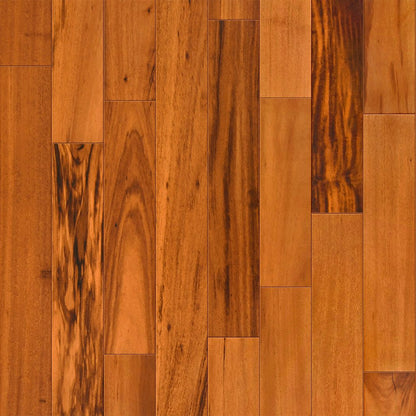 Exotics Collection - Sample 12"