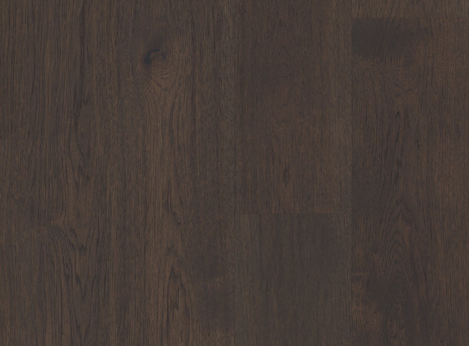 UMBER / 1/2