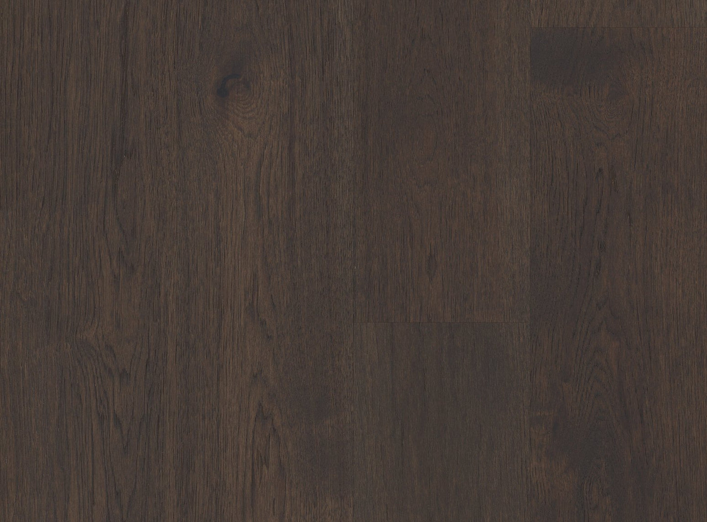 Imperial Pecan - Sample 12"