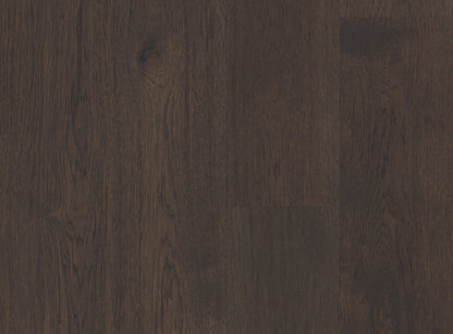 Imperial Pecan - Sample 12"