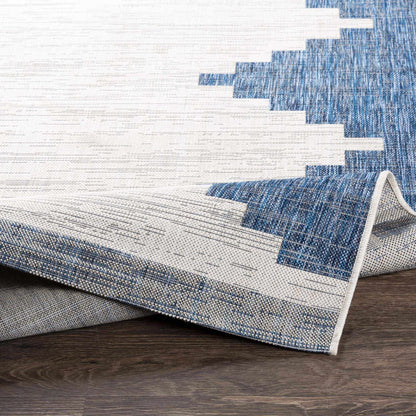 Djugun Navy Indoor & Outdoor Area Rug - Clearance