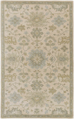 Hazen 1197 Hand Tufted Light Beige Wool Rug