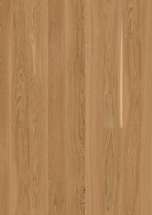 Live Matte Plank Engineered Hardwood - Sample 12"