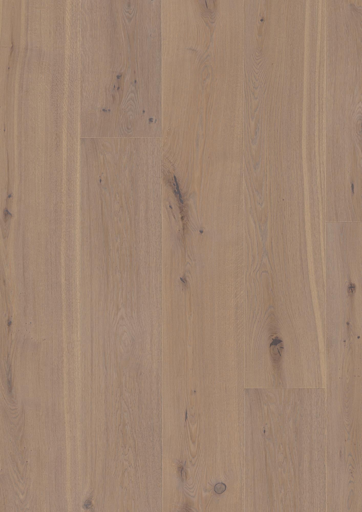 Chaletino European - Sample 12"
